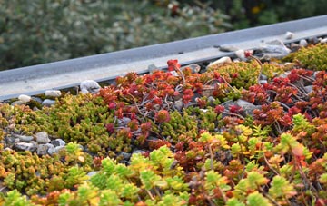 the cost of Amalebra green roof installation