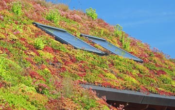 Amalebra living roof systems